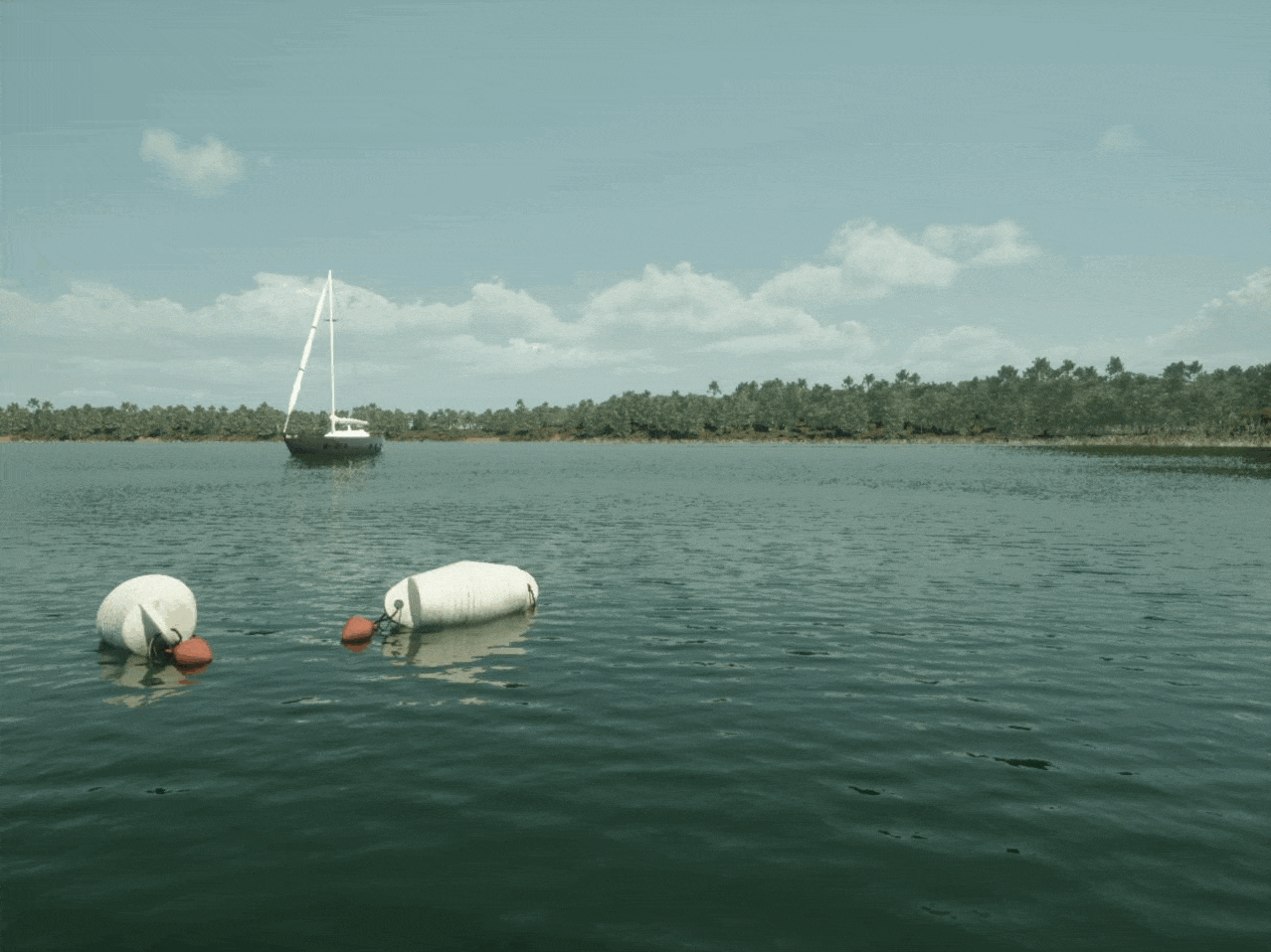 The horizontal, oblong buoys the first model struggled to detect